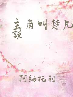 主角叫楚凡的小说