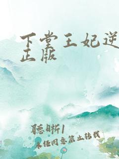 下堂王妃逆袭记正版