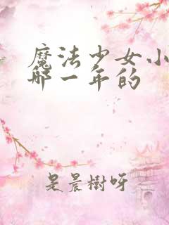 魔法少女小圆是哪一年的