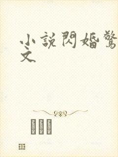 小说闪婚惊爱全文