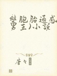 双胞胎通感(双男主)小说