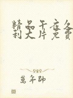 精品午夜久久福利大片免费
