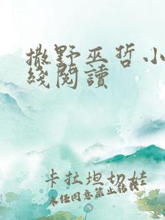 撒野巫哲小说在线阅读
