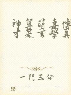 神算萌妻傅太太才是玄学真大佬易小升