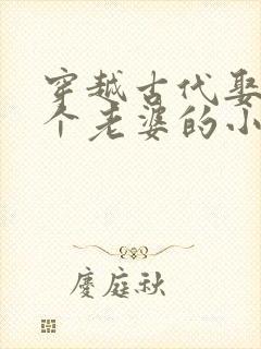 穿越古代娶了八个老婆的小说推荐