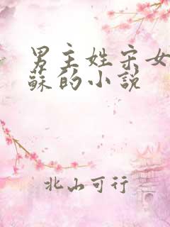 男主姓宋女主姓苏的小说