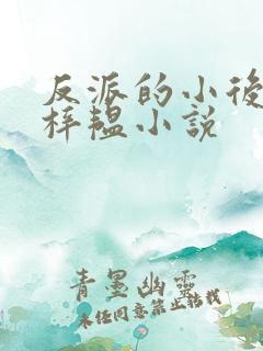反派的小后妈邱梓韫小说