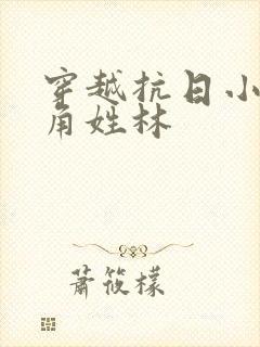 穿越抗日小说主角姓林