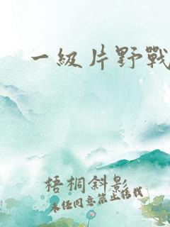 一级片野战