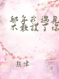 那年我遇见你却不敢误了你是什么歌