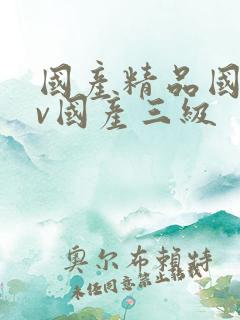 国产精品国产av国产三级