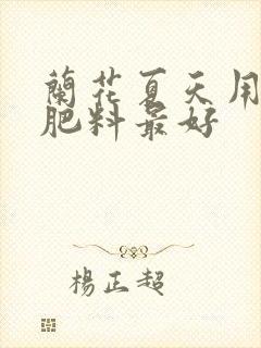 兰花夏天用什么肥料最好