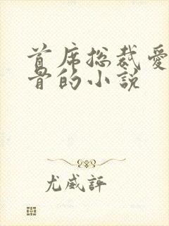 首席总裁爱你入骨的小说