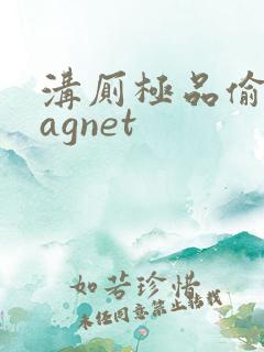 沟厕极品偷拍magnet