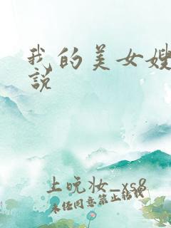 我的美女嫂子小说