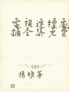 电视连续剧大追捕全集免费观看