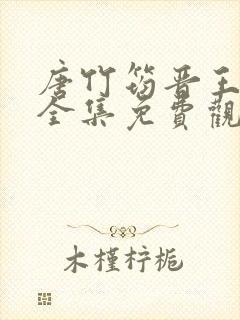 唐竹筠晋王短剧全集免费观看