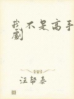 我不是高手 短剧