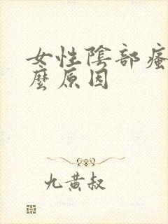 女性阴部瘙痒什么原因