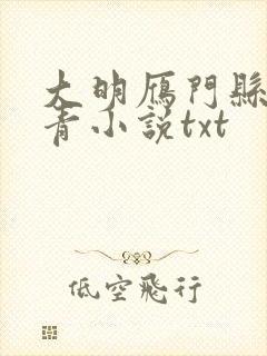 大明雁门县令叶青小说txt