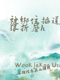 被绑住插道具狠狠折磨h