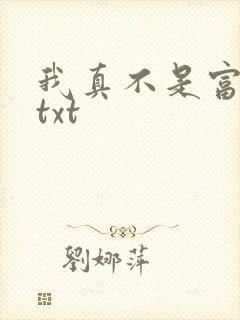我真不是富二代txt