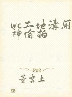 wc工地沟厕大神偷拍