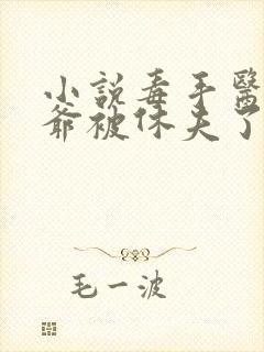 小说毒手医妃王爷被休夫了完整版