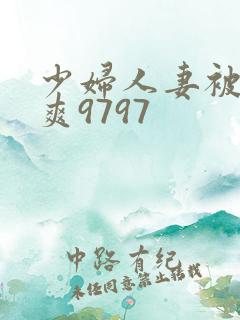 少妇人妻被粗大爽9797