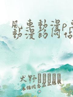 风车动漫p专注动漫的网站