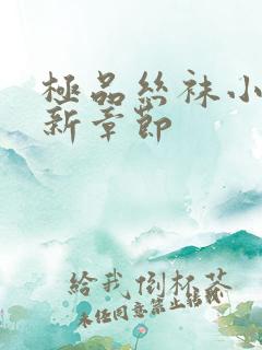 极品丝袜小说最新章节