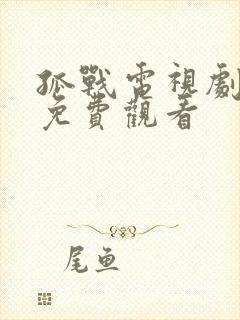 孤战电视剧在线免费观看