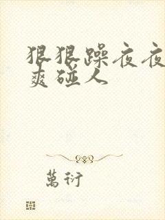 狠狠躁夜夜躁人爽碰人