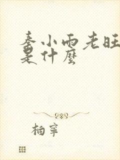 秦小雨老旺结局是什么