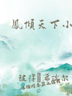 凤倾天下小说 凤倾天下小说