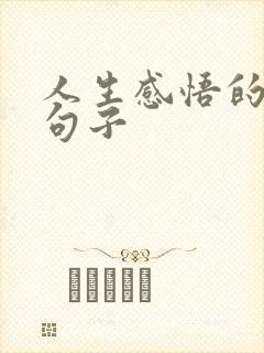 人生感悟的简短句子