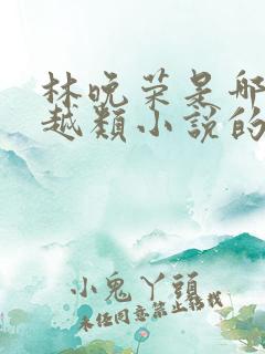 林晚荣是哪部穿越类小说的主人公