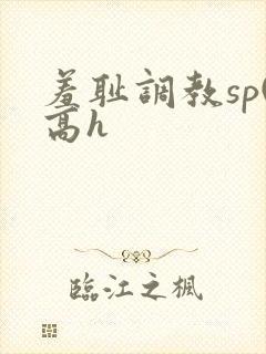 羞耻调教sp(高h