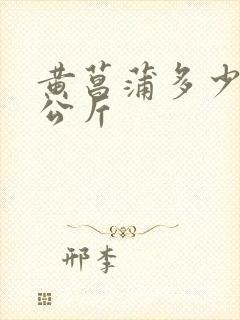 黄菖蒲多少钱一公斤