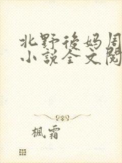 北野后妈周继烨小说全文阅读