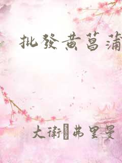 批发黄菖蒲种苗