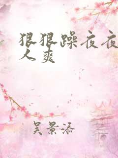 狠狠躁夜夜躁人人爽