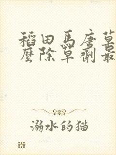 稻田马唐草用什么除草剂最好