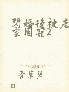 闪婚后被老公全家团宠2