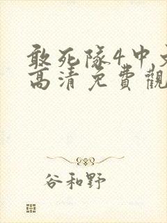 敢死队4中文版高清免费观看