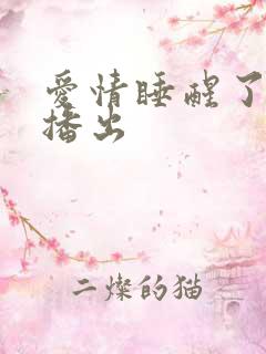 爱情睡醒了哪年播出