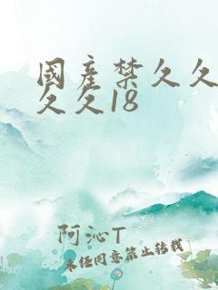 国产禁久久久久久久18