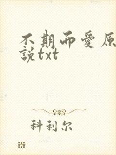 不期而爱原著小说txt