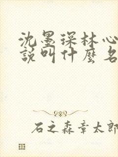 沈墨琛林心然小说叫什么名字