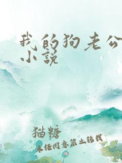 我的狗老公续集小说